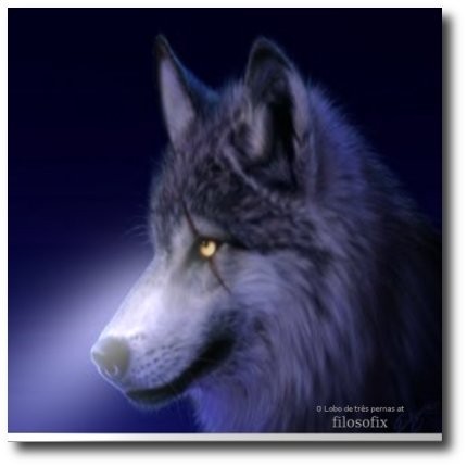 LOBO DO MATO